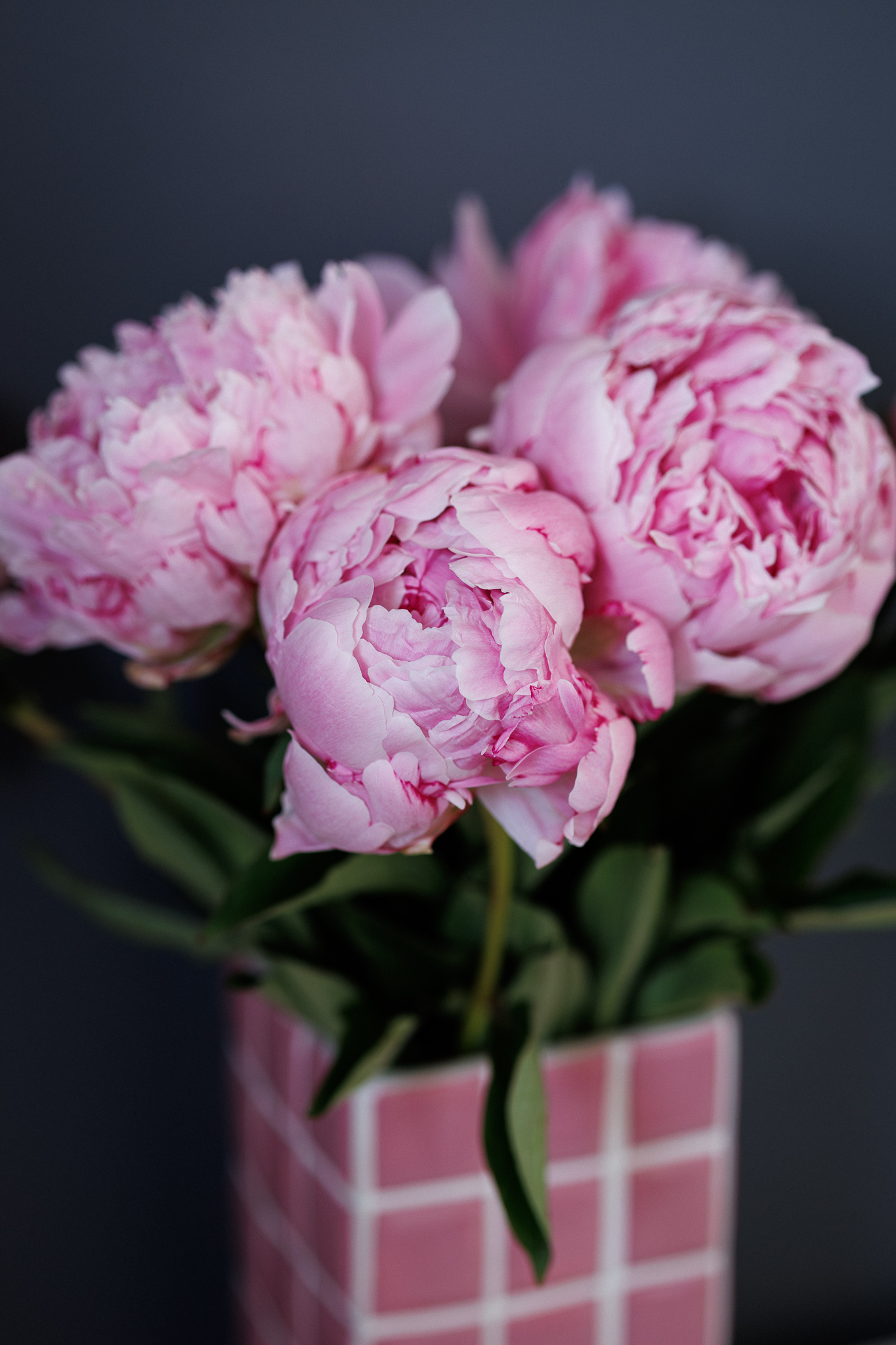 20240930-hd-42 Magazine My Chic Residence